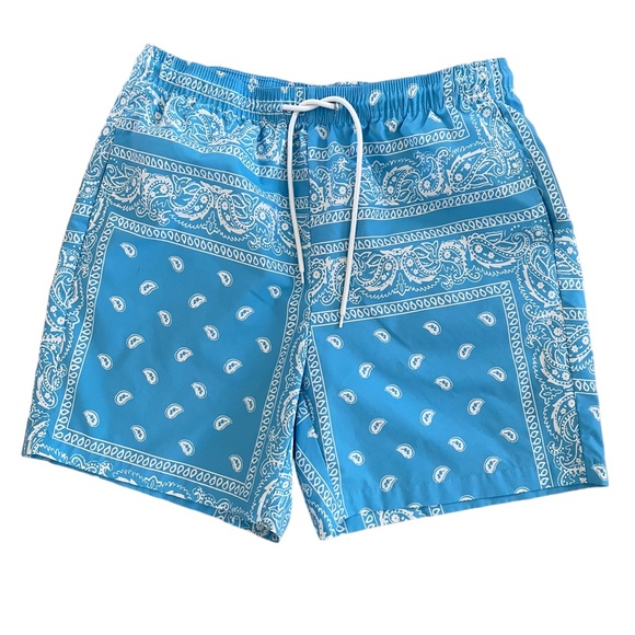 SHEIN UNLINED SWIM TRUNKS Size Large Blue and White Print - Picture 2 of 9